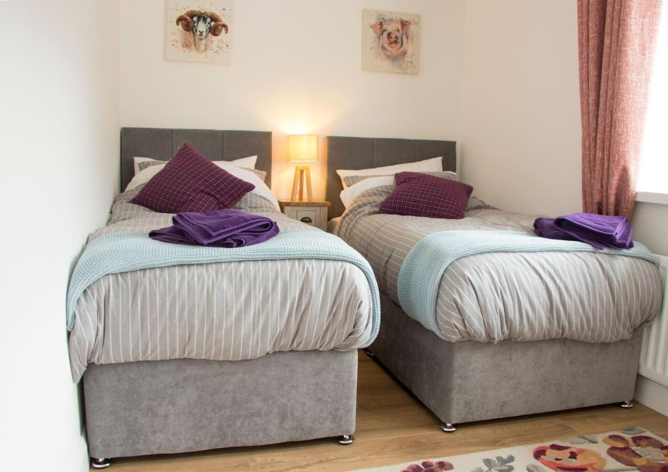 Bramble Cottage Rathfriland Екстер'єр фото