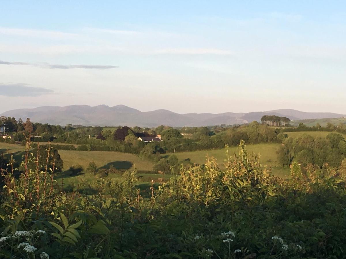Bramble Cottage Rathfriland Екстер'єр фото